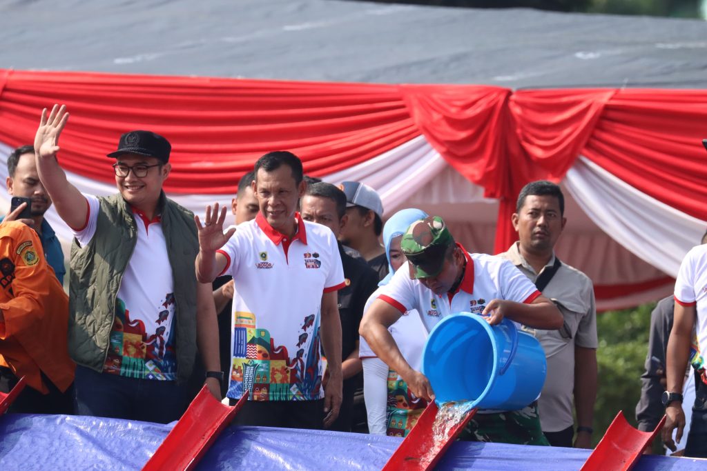 WhatsApp Image 2025-06-12 at 15.48.27